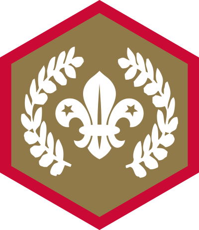 Chief Scout Silver Award