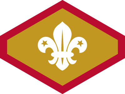 Chief Scout Gold Award Pre 2016